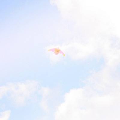 监狱逃生狙击手任务中文版下载