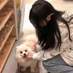 果盘游戏禁地之战下载